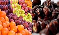 ۱۶ هزار تن میوه شب عید و ۱۲۰۰ تن خرمای ماه رمضان تامین است