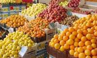 راه اندازی ۱۳ جایگاه جهت عرضه میوه شب عید در مشهد