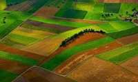 شناسایی ۳۴ تغییرکاربری غیرمجاز در اراضی کشاورزی خوزستان