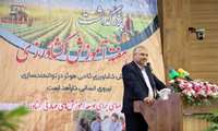 آموزش کشاورزی نیازمند نگاه توسعه‌گرا و حمایت ساختاری است/ مجلس حامی تحول در آموزش کشاورزی