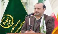پیش‌بینی تولید ۵۵۰ هزار تن گندم در سال ۱۴۰۴ در خراسان رضوی 