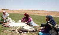 پرداخت ۱۵۰ میلیارد ریال تسهیلات به زنان عشایردر دزفول
