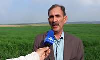 سیستم حفاظ‌های بارانی راهکار مناسب گزینش ارقام مقاوم به خشکی برای مقابله با تغییرات اقلیمی