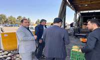گشت مشترک مدیرکل بازرسی و نظارت بر کالاهای اساسی وزارت جهادکشاورزی و سازمان تعزیرات حکومتی در سطح شهر و میادین بنکداری عرضه میوه