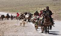 کوچ بهاره عشایر ورامین آغاز شد