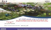 فناوری پرورش و تولید بلوبری گلخانه ای