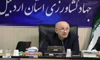 راهکاری جز بیمه محصولات کشاورزی برای پرداخت خسارت به کشاورزان وجود ندارد