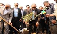 حفاظت از منابع طبیعی و محیط زیست اولویت نخست وزارت جهادکشاورزی است/تولید ۳۰۰ میلیون اصله نهال ظرف امسال