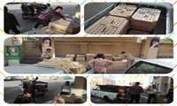 دومین مرحله توزیع جوجه‌ها ی یک روزه