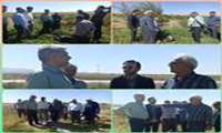 بازدید از پروژه آبیاری کم فشار در دومین سفر کاروان خدمت جهاد کشاورزی استان سمنان|