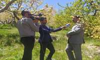 بازدید رئیس سازمان جهاد کشاورزی استان اصفهان،فرماندار شهرستان از خسارت سرمازدگی به باغات شهرستان