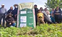 کارگاه آموزشی ترویجی برداشت سبزیجات باغچه های خانگی در شهرستان آران وبیدگل