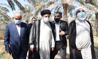 تخصیص اعتبار 50 میلیارد تومانی سفر رئیس جمهور برای جوان سازی نخیلات بوشهر