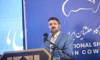 جشنواره گاو هلشتاین فرصتی برای تبادل و انتقال یافته‌ها و تجربیات دامپروری کشور/ برترین‌های نژاد گاو هلشتاین ایرانی معرفی شدند