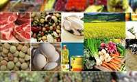 کسب رتبه  اول شهرستان پاسارگاد در جذب تسهیلات سرمایه در گردش نهاده های دام و طیور