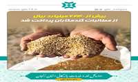 بیش از 6240 میلیارد ریال از مطالبات گندمکاران پرداخت شد