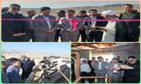 گاوداری 50 راسی گاو شیری در کالپوش افتتاح شد