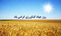 خرید 225 هزار تن گندم تولیدی استان فارس