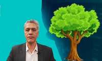 کاشت بیش از 10 میلیون اصله نهال در استان سمنان در دستور کار است