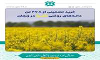 خرید تضمینی از 278 تن دانه‌های روغنی کلزا در زنجان
