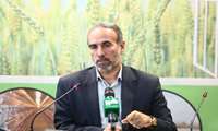 هدف گذاری افزایش 7 درصدی محصولات کشاورزی در استان قم