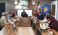 روند اجرایی بیمه پست لارو میگو در مراکز تکثیر و پرورش استان در دستور کار است