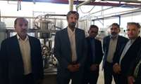 بررسی وضعیت کارخانه شیر فردوس در بازدید رئیس سازمان