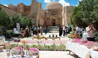 گل محمدی نقش تعیین کننده در صنعت گیاهان دارویی دارد