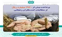 پرداخت بیش از 1960 میلیارد ریال از مطالبات گندمکاران زنجانی