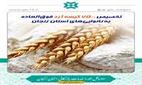 تخصیص 7500 کیسه آرد فوق‌العاده به نانوایی‌های استان زنجان