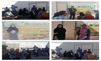 برگزاری برنامه کاروان ترویج ارتقای بهره‌وری کشاورزی در زنجان