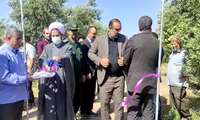 آیین افتتاح پروژه آبیاری تحت فشار شرکت زیتون کشت گیلوان