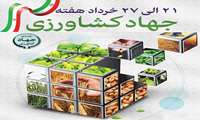 بهره برداری از 27 پروژه کشاورزی در استان زنجان