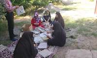 توانمندسازی زنان روستایی استان زنجان با اجرای طرح نوغانداری