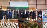 خرید تضمینی 300 هزار تن گندم در فارس