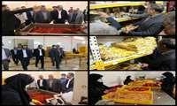 بازدید استاندار سمنان از شرکت تولیدی زرنگاران در شاهرود
