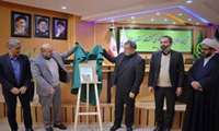 اجرای الگوی کشت نیازمند همکاری دستگاه‌های مرتبط است