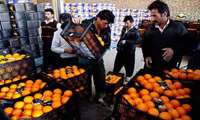 جایگاه دوم کشوری استان چهارمحال و بختیاری در تامین میوه تنظیم بازار شب عید