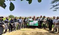 برگزاری روز مزرعه "اصول فنی کشت لوبیا" با حضور محقق مرکز تحقیقات و آموزش کشاورزی