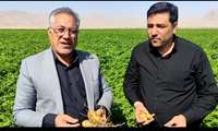 جلوگیری از خُرد شدن اراضی در کمیسیون کشاورزی مجلس در دست پیگیری است