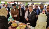 اولویت گذاری برای تکمیل زنجیره اقتصادی بادام دستاورد نخستین جشنواره بادام