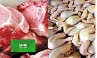 خرید مرغ مازاد از مرغداران در فارس