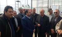 بیش از 60 درصد خوراک آبزیان کشور در چهارمحال وبختیاری تولید می‌شود