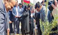 کاشت نهال توسط وزیر جهاد کشاورزی در دلوار در آستانه هفته منابع طبیعی/ طرح‌های غیرکشاورزی شهرستان تنگستان توسط نماینده رئیس‌جمهور افتتاح شد