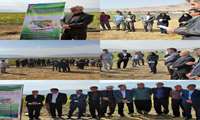 برگزاری پنجمین کاروان ترویجی بهره‌وری ویژه الگوی کشت ملی محصولات پائیزه در شهرستان هلیلان
