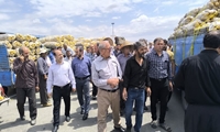شبکه تعاون روستایی آذربایجان شرقی مانع متضرر شدن سیب زمینی کاران عجب شیر شد