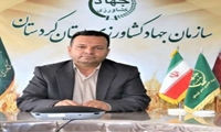 سالانه 511 هزار تن انواع میوه در کردستان تولید میشود 