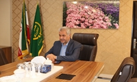 خرید تضمینی گندم در استان مرکزی به ۴۱۵ هزار تن رسید 