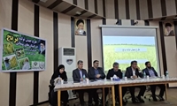طرح جهش تولید برنج در استان‌های شمالی اجرا می‌شود