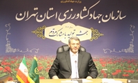 سهمیه اقلام تنظیم بازار هیئت‌های مذهبی اعلام شد/توزیع از امروز 